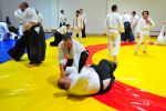 Kocaeli 9. Yıl resim #18   <a href="usr_img/resim_galerisi/aikido/etkinlik/kocaeli_9yil/18.jpg" class="org_resim_indir" target="_blank" >Orjinal Resim</a>
