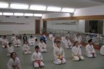 Dersten Görüntüler resim #257   <a href="usr_img/aikido/cocuk_aikido/buyuklerle_ders/img_0040.jpg" class="org_resim_indir" target="_blank" >Orjinal Resim</a>