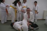 Dersten Görüntüler resim #264   <a href="usr_img/aikido/cocuk_aikido/buyuklerle_ders/img_0052.jpg" class="org_resim_indir" target="_blank" >Orjinal Resim</a>