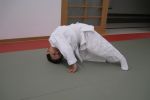 Dersten Görüntüler resim #244   <a href="usr_img/aikido/cocuk_aikido/buyuklerle_ders/img_0027.jpg" class="org_resim_indir" target="_blank" >Orjinal Resim</a>