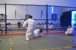 Dersten Görüntüler resim #162   <a href="usr_img/aikido/cocuk_aikido/20120129_istanbul_seyahati/istanbul_tur_053.jpg" class="org_resim_indir" target="_blank" >Orjinal Resim</a>