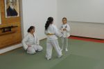 Dersten Görüntüler resim #6   <a href="usr_img/aikido/cocuk_aikido/20101128_13.jpg" class="org_resim_indir" target="_blank" >Orjinal Resim</a>