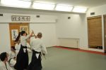2013-07 Kumagai @ EndoKan resim #135   <a href="usr_img/aikido/seminerler/2013_07_kumagai_endokan/20130702_229.jpg" class="org_resim_indir" target="_blank" >Orjinal Resim</a>
