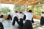 2013-07 Kumagai @ Satoyama resim #20   <a href="usr_img/aikido/seminerler/2013_07_kumagai_satoyama/satoyama_2013_07_20.jpg" class="org_resim_indir" target="_blank" >Orjinal Resim</a>