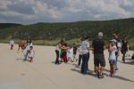 Yaza Merhaba 10 resim #116   <a href="usr_img/resim_galerisi/aikido/yaza_merhaba/10/dscf0159.jpg" class="org_resim_indir" target="_blank" >Orjinal Resim</a>
