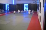 İstanbul Seyahati resim #28   <a href="usr_img/aikido/cocuk_aikido/20120129_istanbul_seyahati/istanbul_tur_028.jpg" class="org_resim_indir" target="_blank" >Orjinal Resim</a>