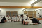 2012-2 Dan Sınavı resim #90   <a href="usr_img/aikido/sinavlar/2012_2_dan_sinavi/2012_2_ankara/ankara_091.jpg" class="org_resim_indir" target="_blank" >Orjinal Resim</a>